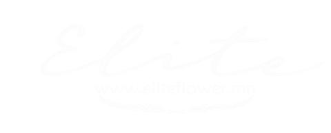 Elite Flower